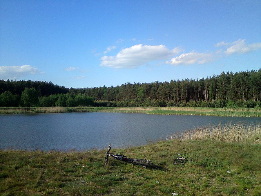 Staw w Starych Kolniach
