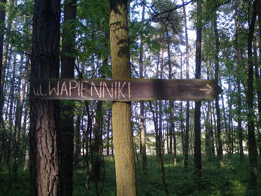 Leśny drogowskaz