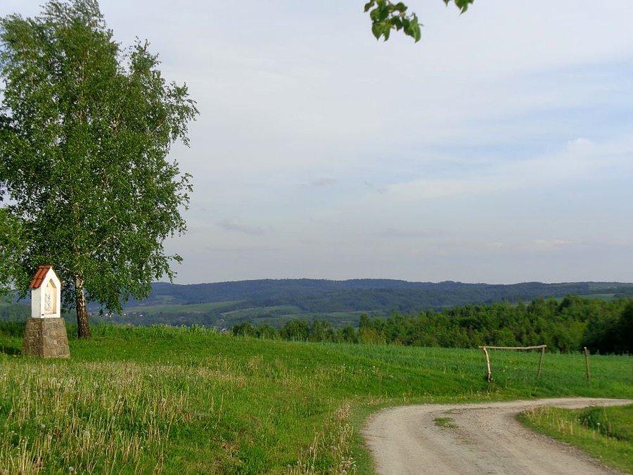 Gdzieś w polach