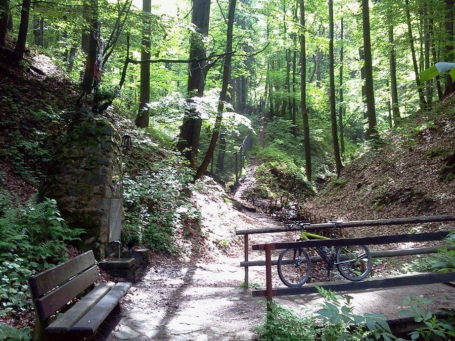 Źródło Karola