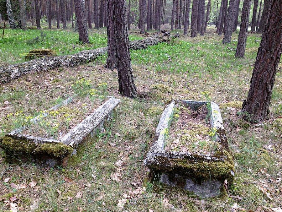 Stary cmentarz ewangelicki w okolicy Niewiemka II
