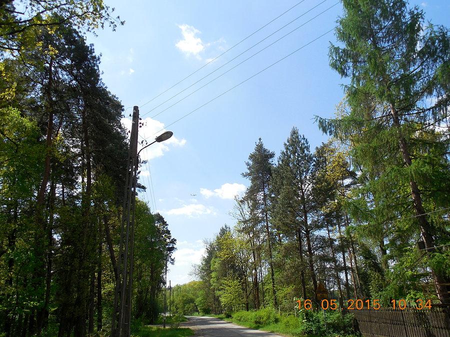 Wystartował
