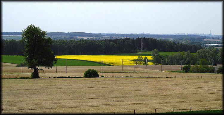 Widok z Wału Wydartowskiego