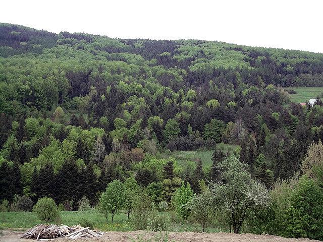 Wiosna