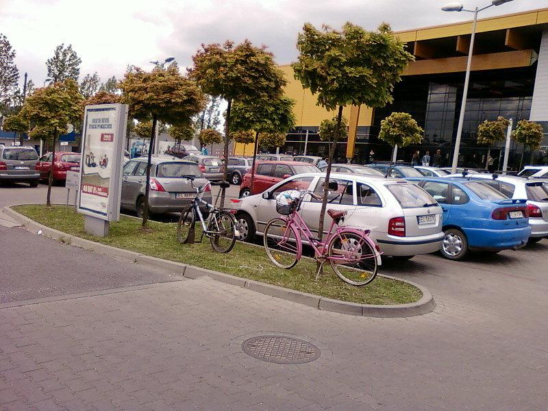 Pakowanie rowerów pod drzewami