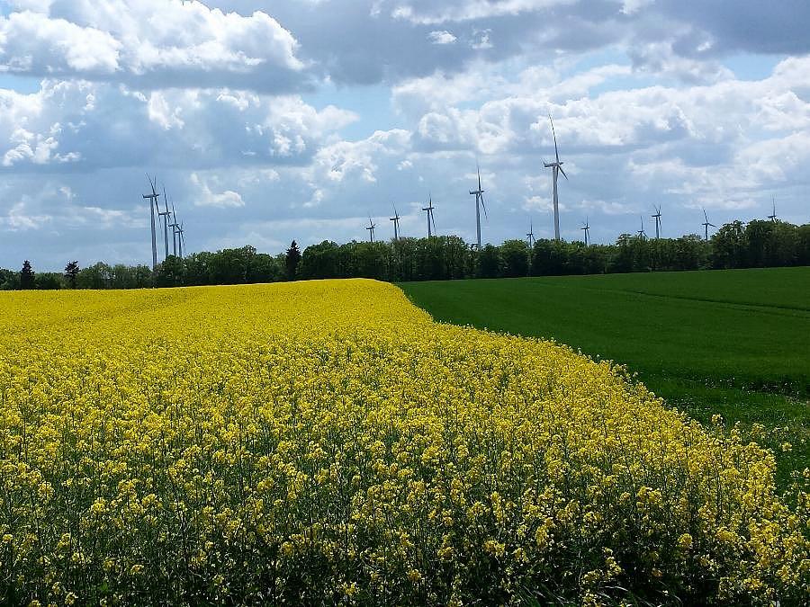 Farma wiatrowa w Sułkowie