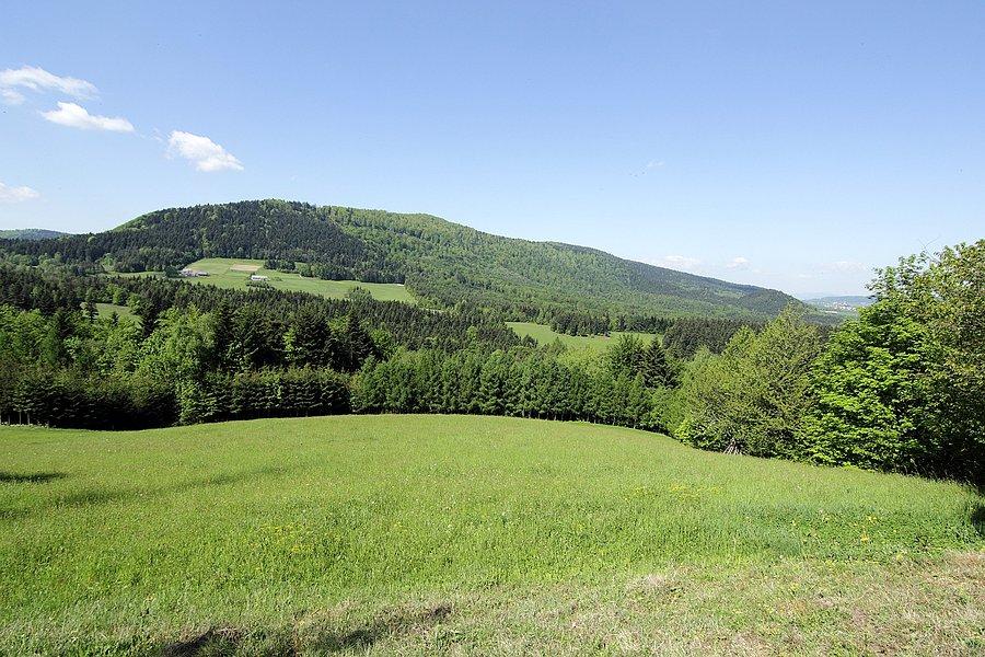 Nasz pierwszy cel - Jaworze (882 m.n.p.m)