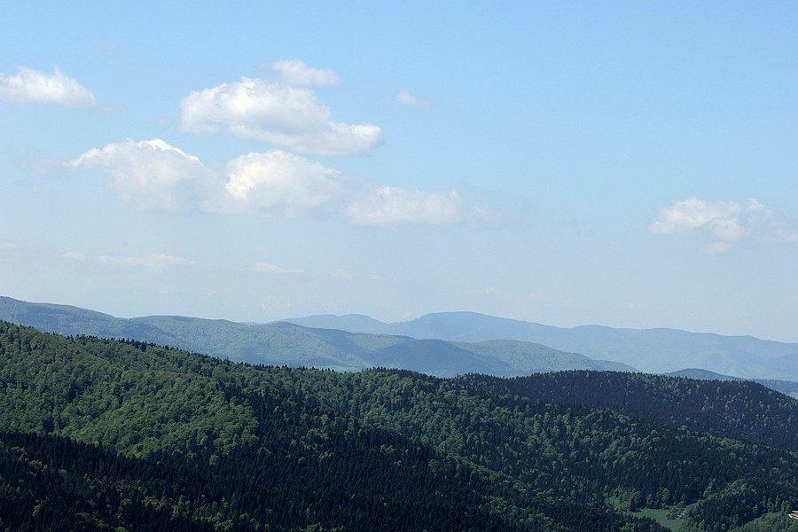 Widok z wieży #2 - pasmo Jaworzyny Krynickiej