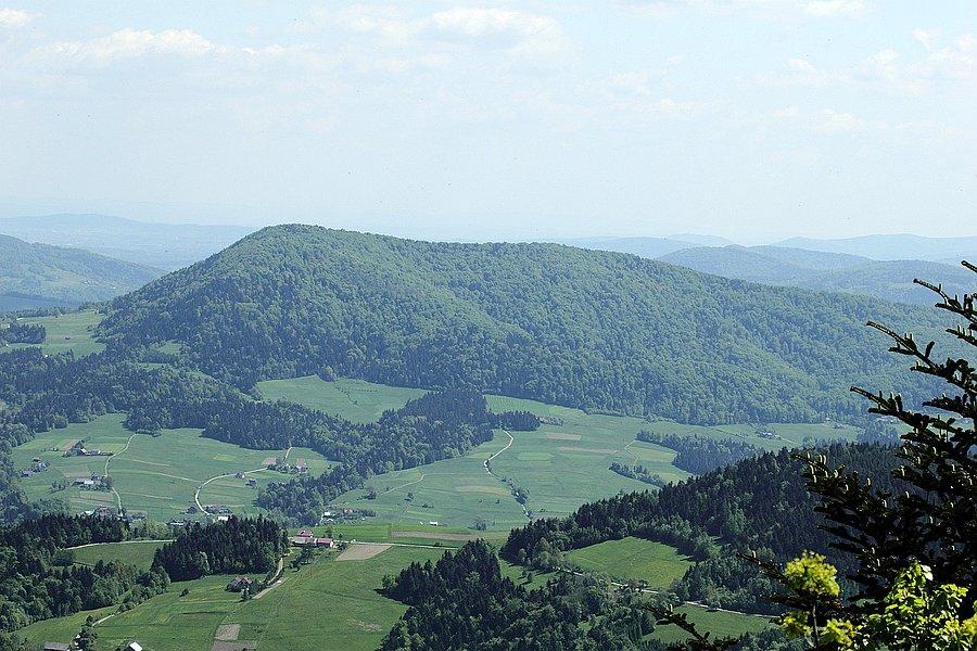 Widok z wieży #4 - wschód, Beskid Niski zachodni