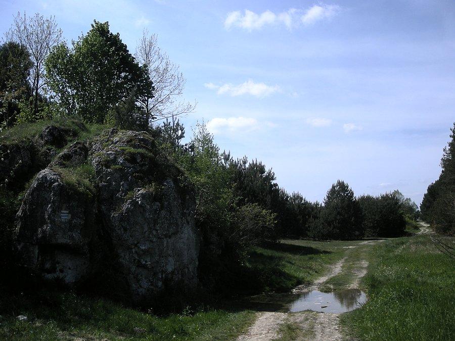 Zdów - źródełko spod Skały