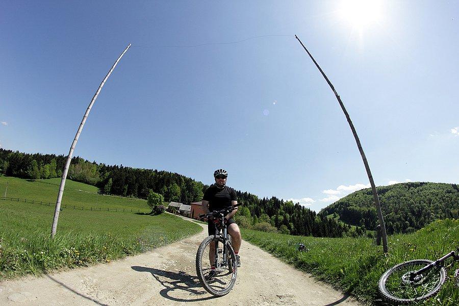 Brama z .... elektrycznego pastucha