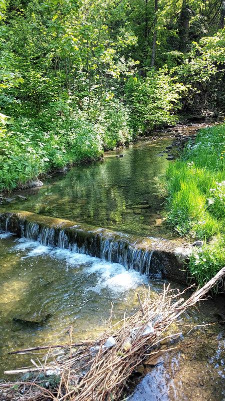 Próg wodny na Jawoniku
