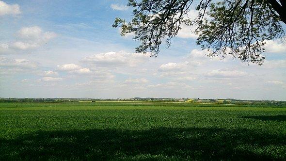 Widok na pola koło Bychawy