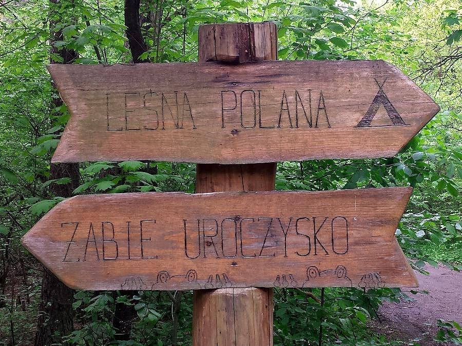 Żabie uroczysko
