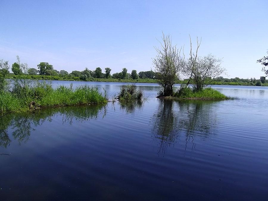 Polder Buków w okolicy Roszkowa