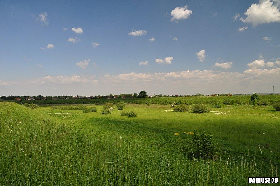 Okolice Mikulszowice
