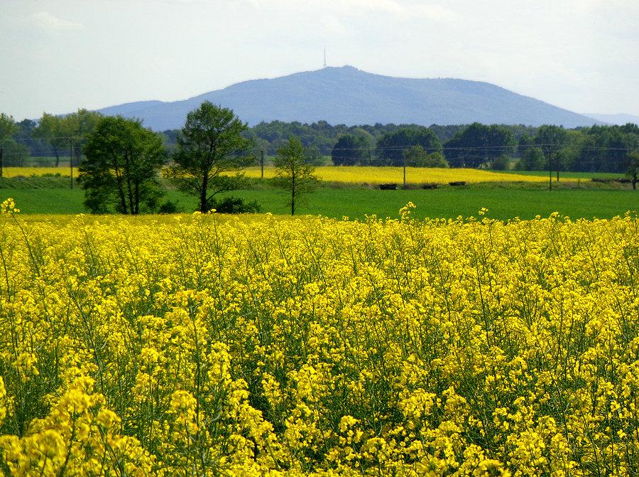 Ślęża z drogi na Sadowice