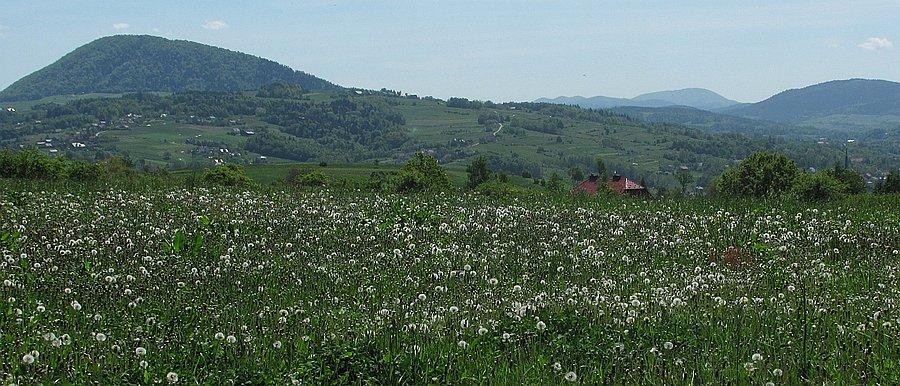 Chełm na horyzoncie