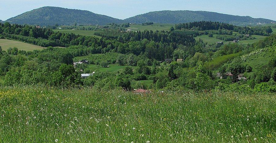 Rosochatka na horyzoncie
