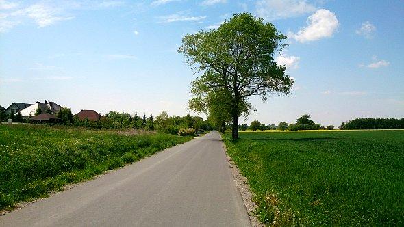 Droga gdzieś w Abramowicach Kościelnych
