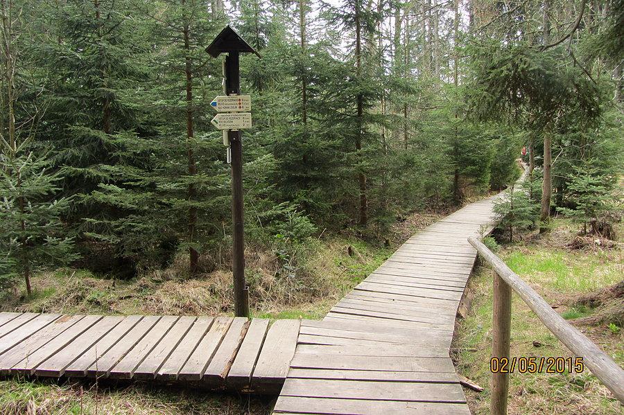 Drewniane ścieżki prowadzące do jeziorek torfowiskowych