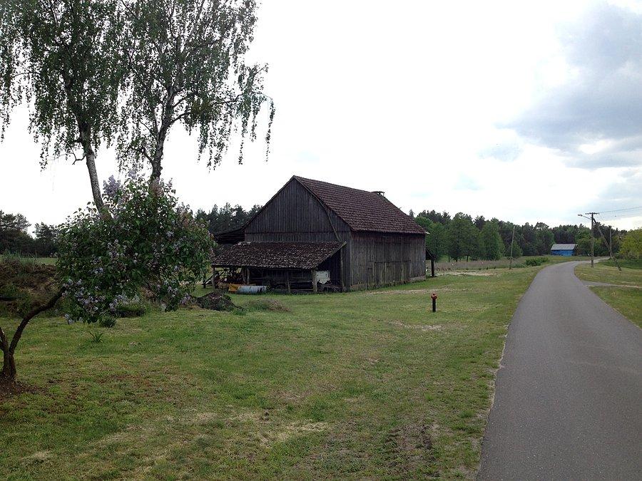 Nowa trasa w kierunku Jędrzejewa / przez Zofiowo