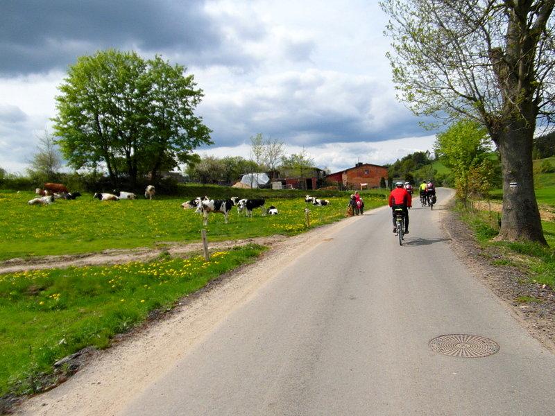 Kaszubskie dróżki