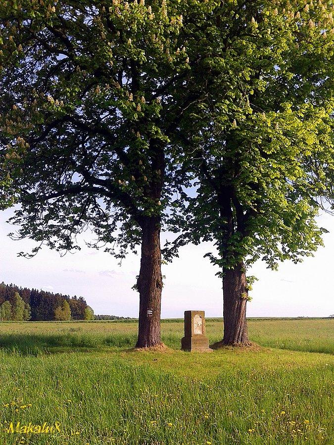 Jeszce jedna kapliczka_Długopole