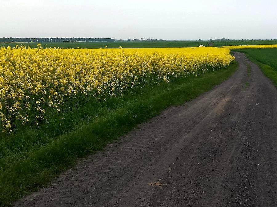 Ulubiona żużlówka z Dębicy do Wierzbna