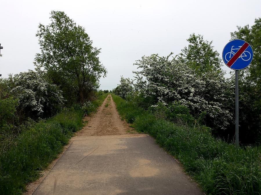 Koniec DDR-ki na 1,5km przed Kosinem