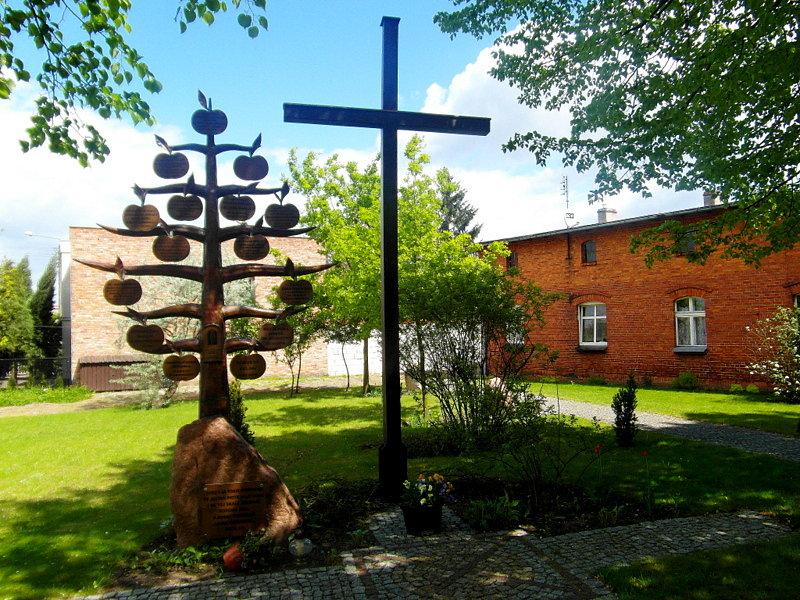 Drzewko historyczne przy kościele - Gniewkowo