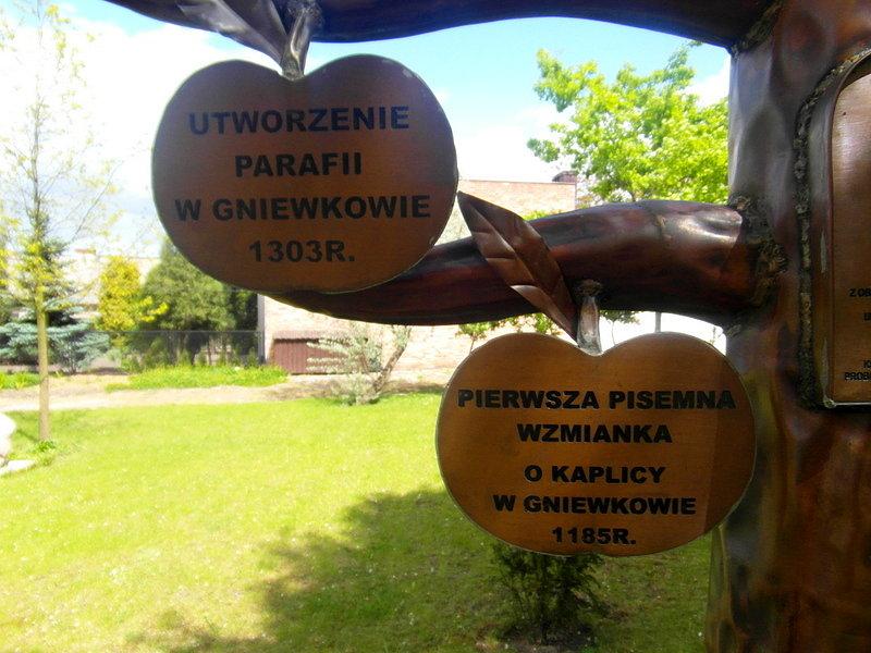 Drzewko historyczne przy kościele - Gniewkowo
