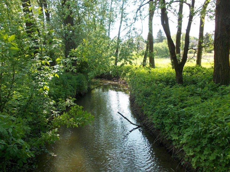 Nad Ciemięgą