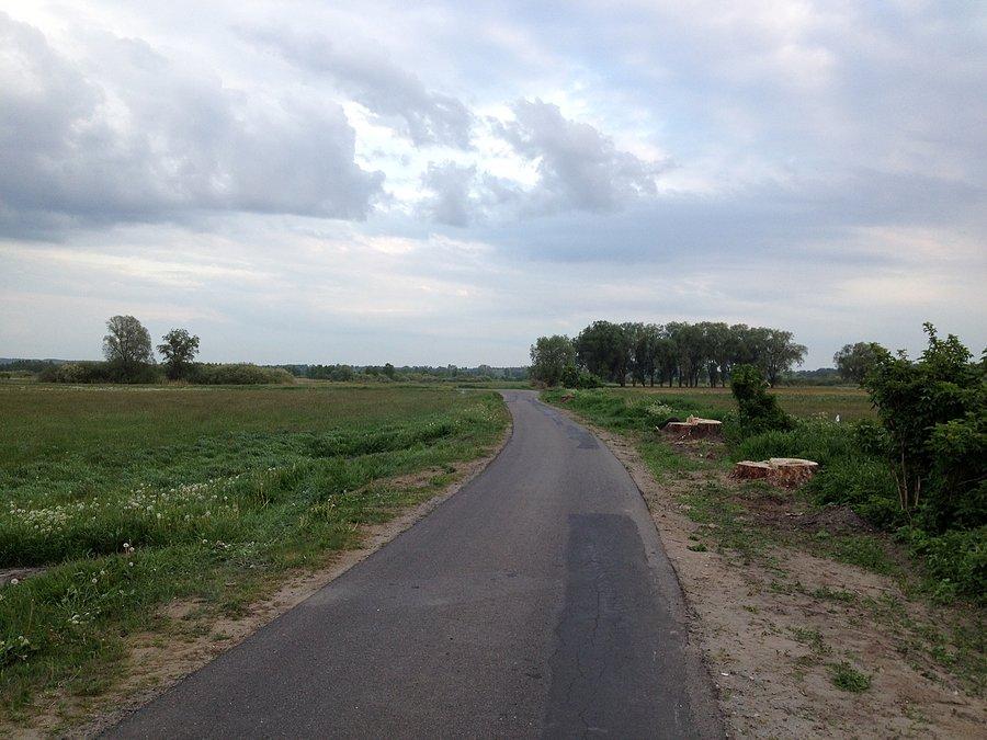 Trasa - Jędrzejewo - Pomorska Wola