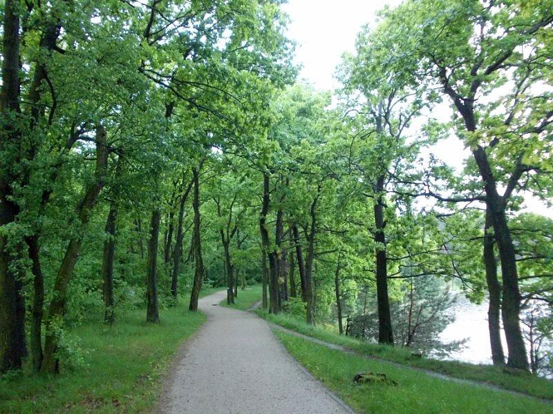 Szutrowy odcinek DDR