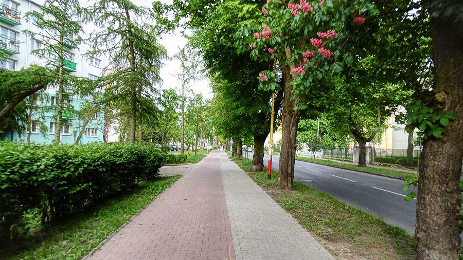 Już prawie w domu