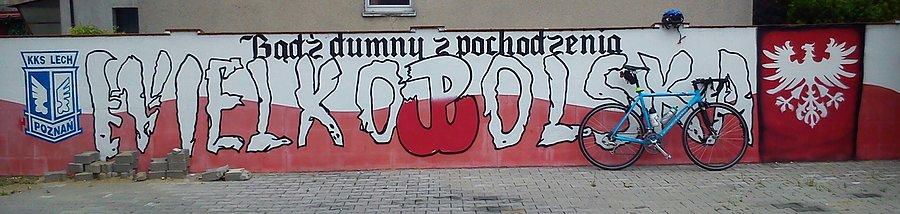 Patriotycznie ... ! Sady