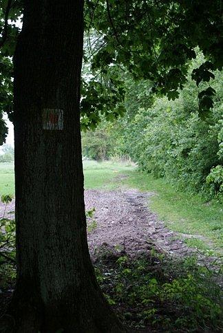 Na szlaku konnym jest ciekawie, którędy on prowadzi?