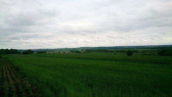Pola koło Izbicy