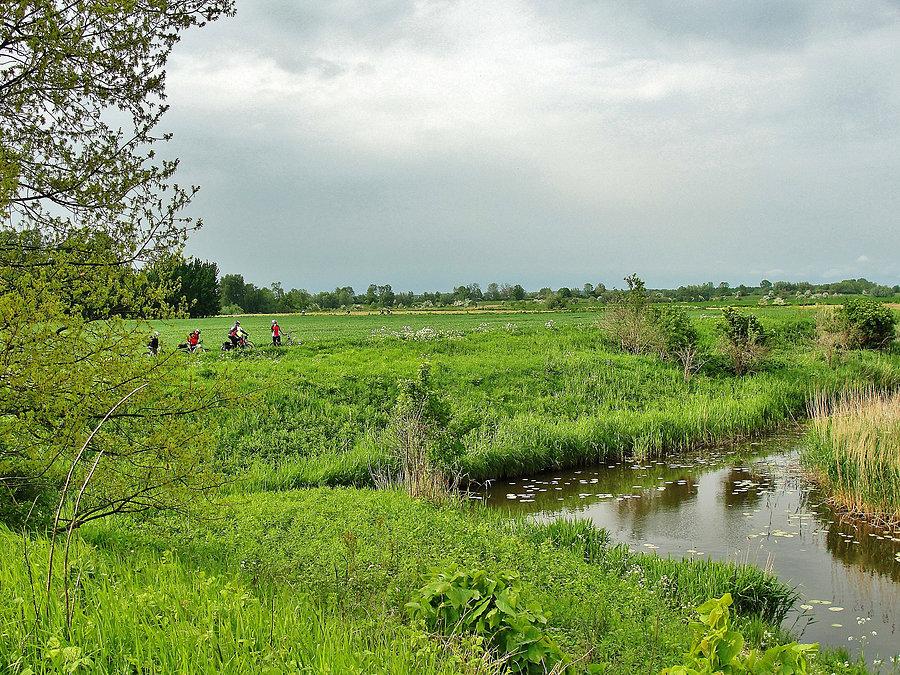 Wycieczka do browaru w Gościszewie