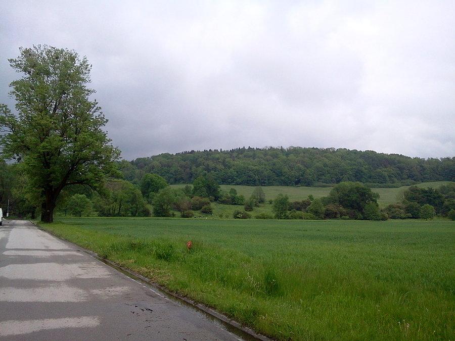 Góra Bucze