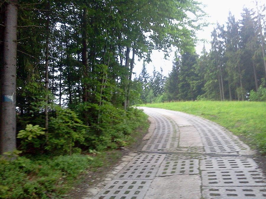 Podjazd na Cieńków