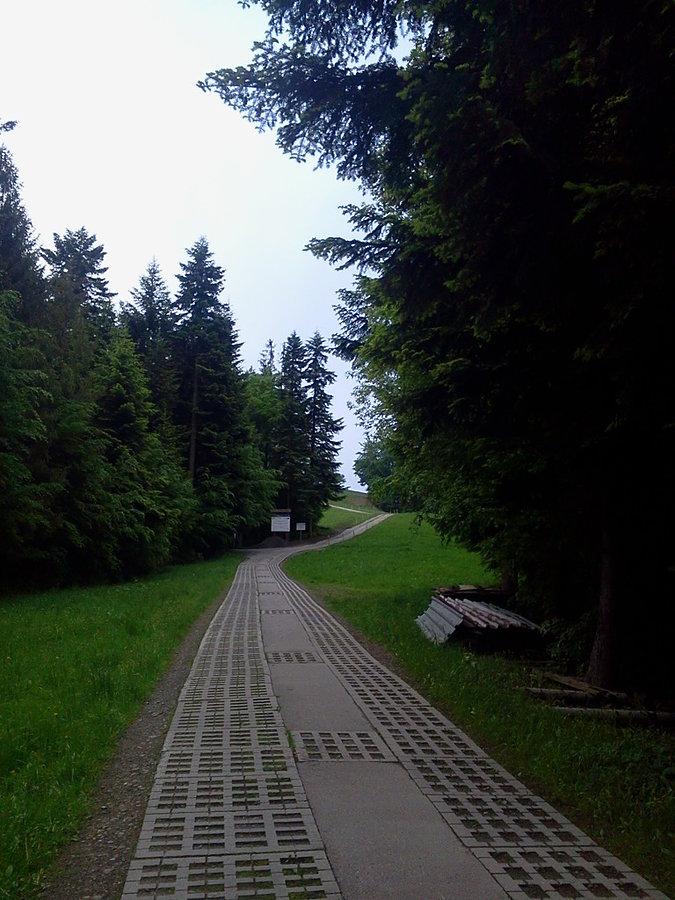 Podjazd na Cieńków