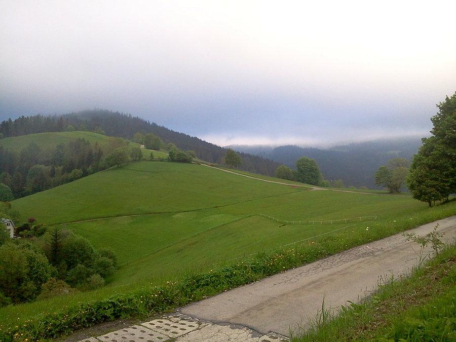Podjazd na Cieńków