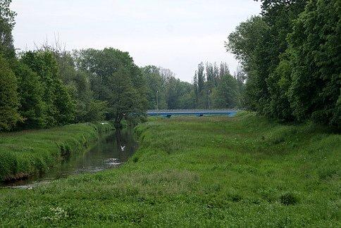 Na kładce nad Wolbórką