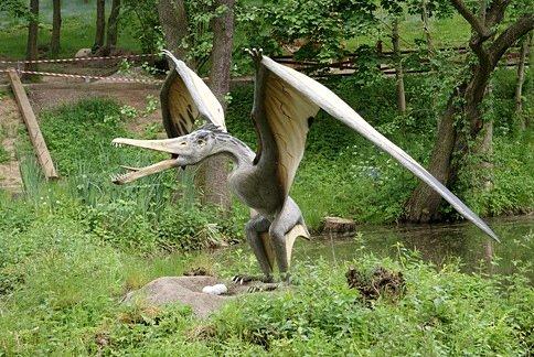 ...zaurus ;)