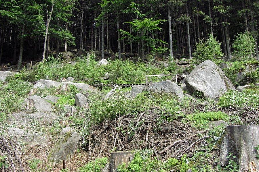 Trail Dr. Wiessnera