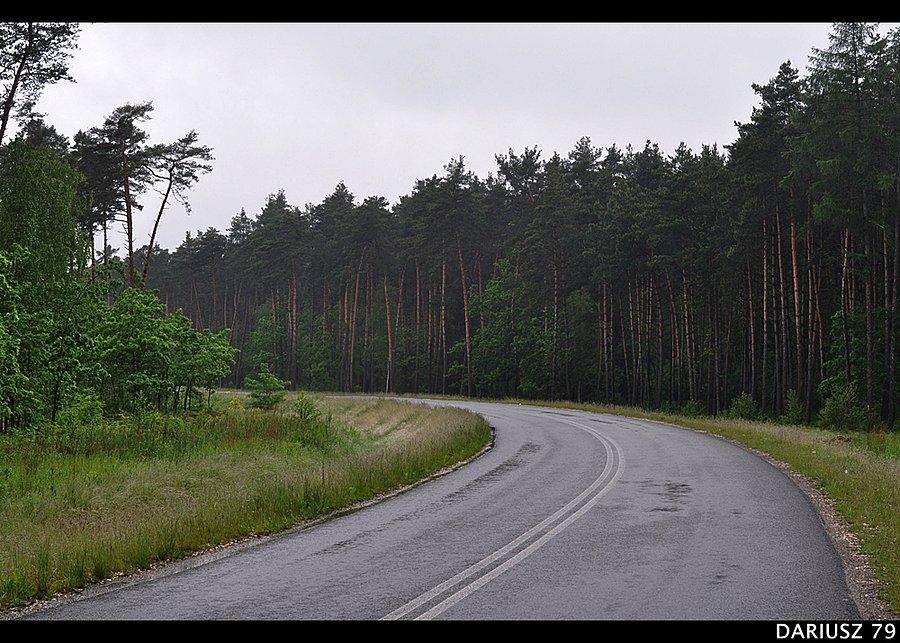 Grody Jodłowskie k/Brzeska