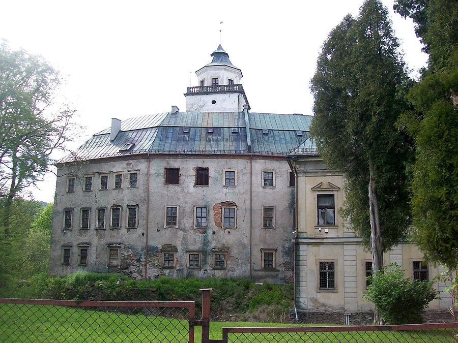 Zamek w Międzylesiu