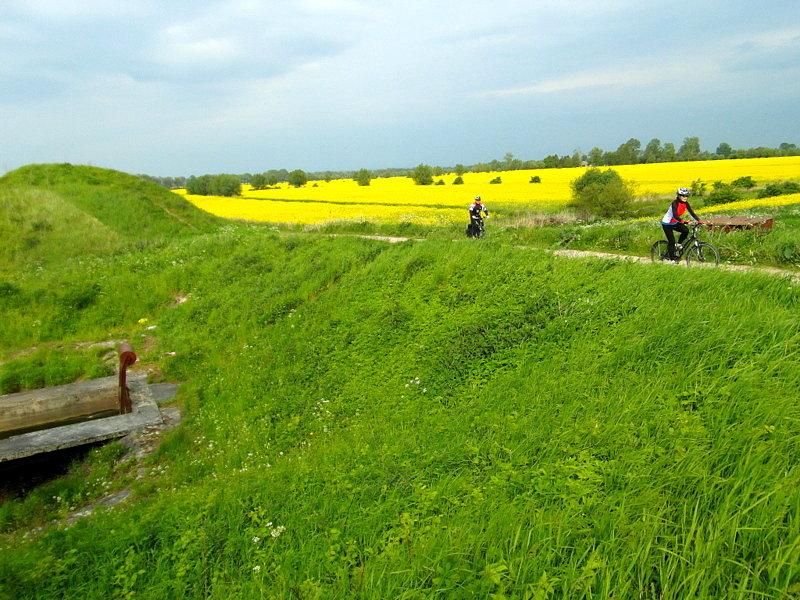 Żuławskie widoczki